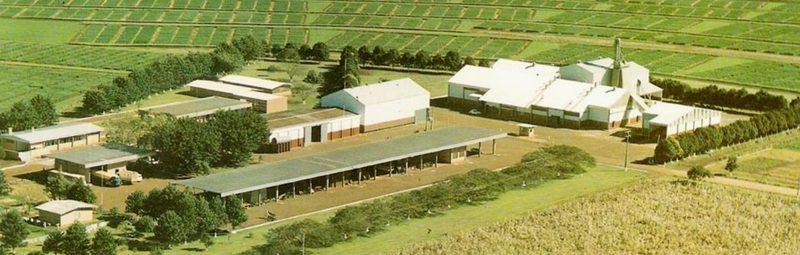 Coodetec — Unidade de Produção de Sementes de Milho, Palotina – PR